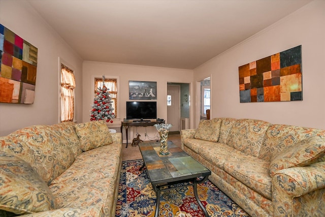 living room featuring a wealth of natural light