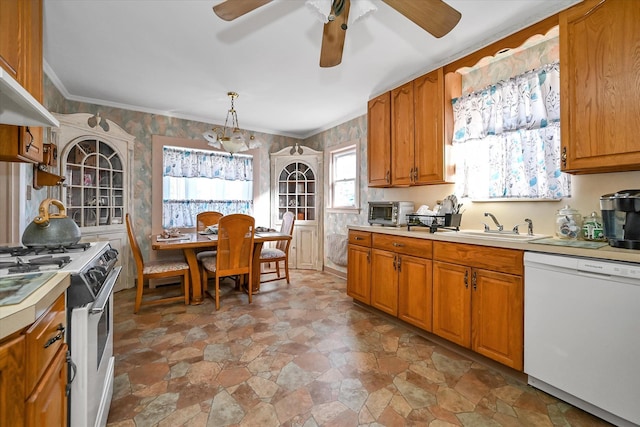 kitchen with ceiling fan, sink, hanging light fixtures, ventilation hood, and white appliances