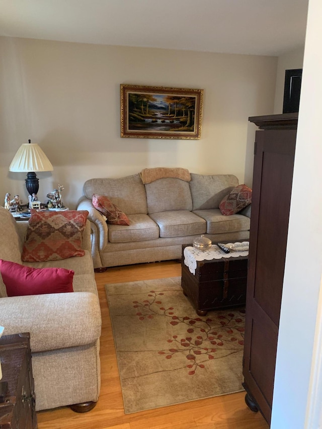 living room with hardwood / wood-style flooring