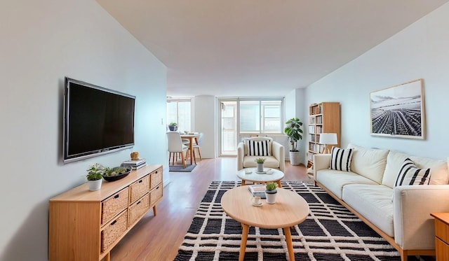 living room featuring hardwood / wood-style floors