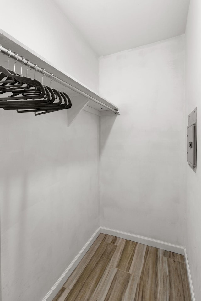 spacious closet featuring hardwood / wood-style flooring