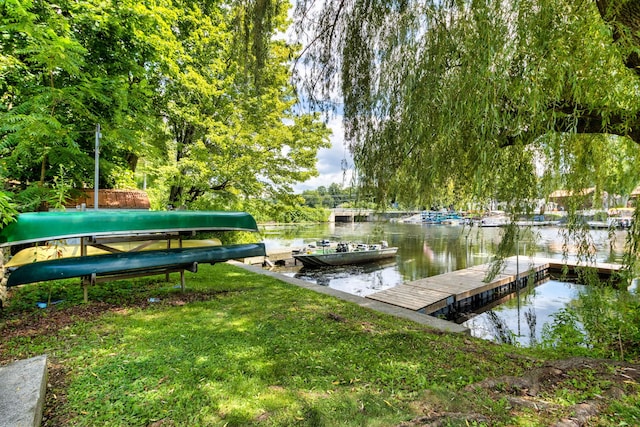 dock area with a water view