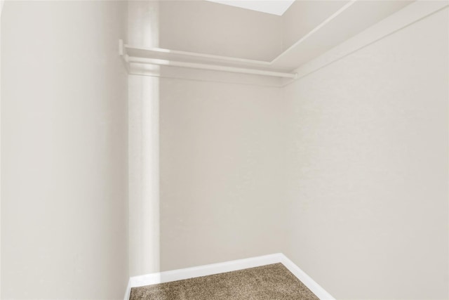 walk in closet featuring carpet