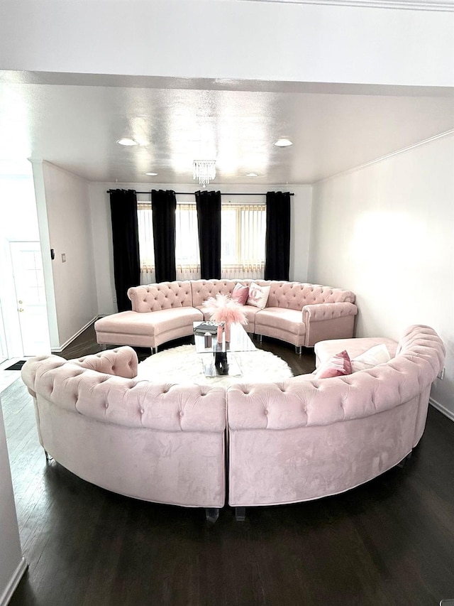 living room with dark hardwood / wood-style floors