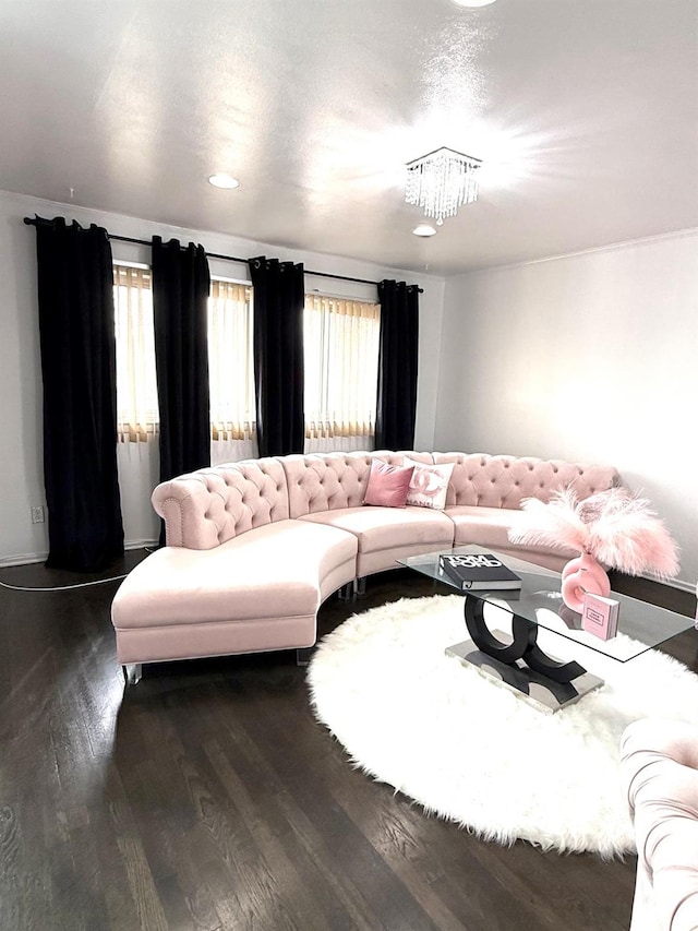 living room featuring dark hardwood / wood-style floors