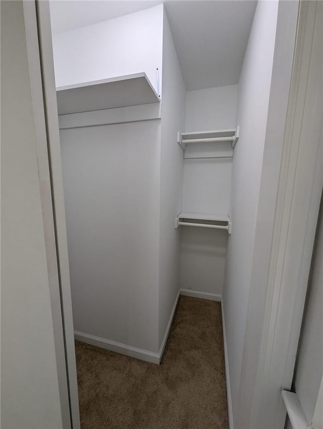 spacious closet with carpet