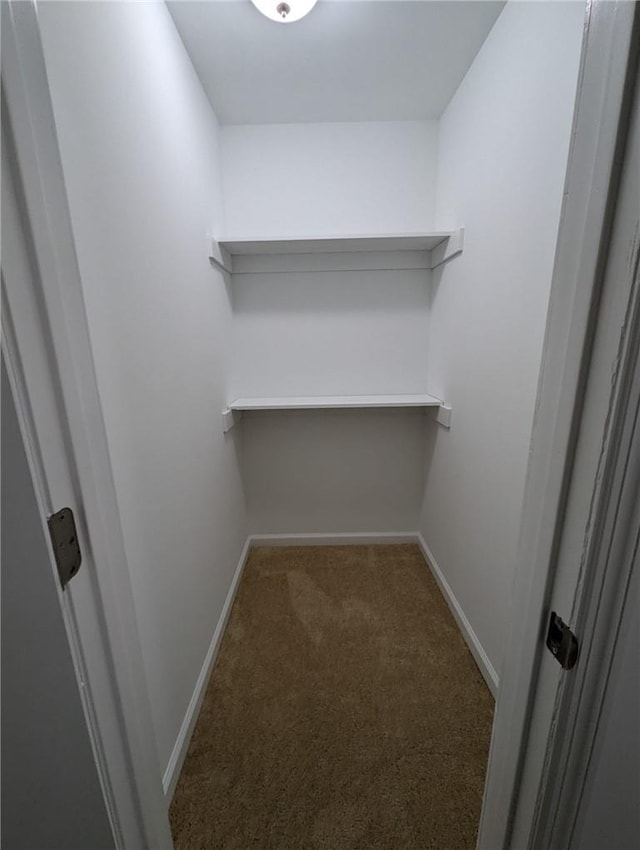 spacious closet with dark colored carpet