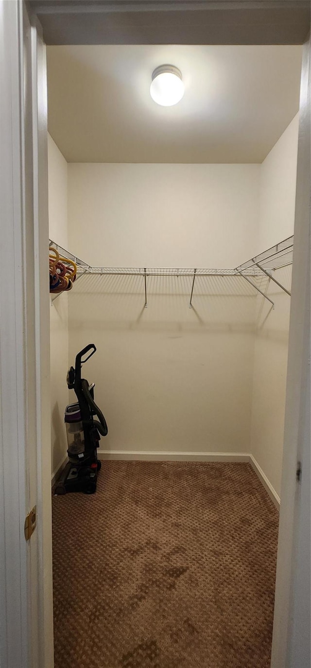 walk in closet with carpet