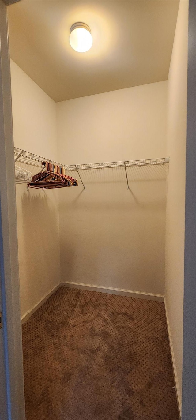 walk in closet featuring dark colored carpet