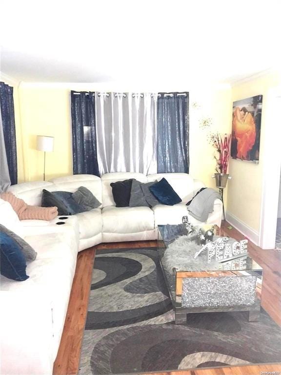 living room featuring wood-type flooring