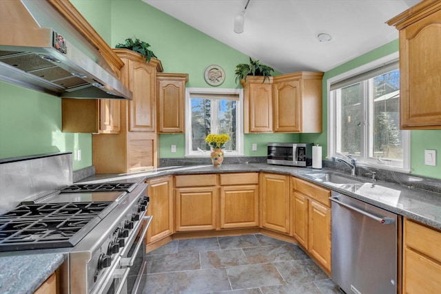 kitchen with plenty of natural light, a sink, stainless steel appliances, vaulted ceiling, and wall chimney exhaust hood