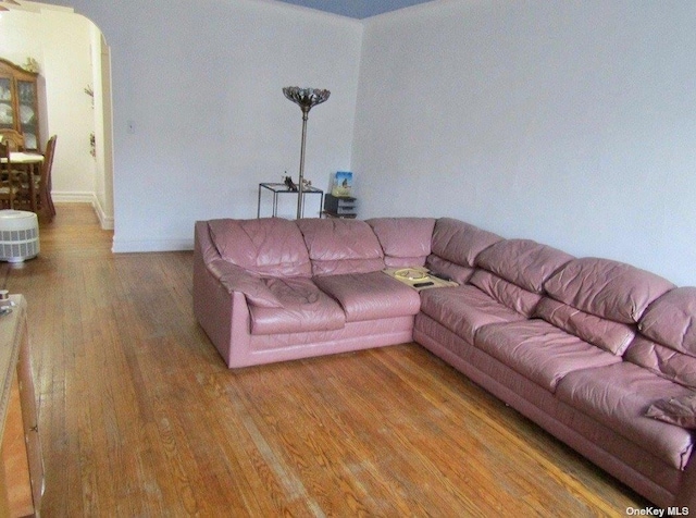 living room featuring hardwood / wood-style floors