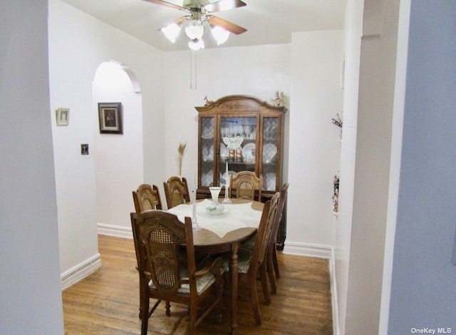 dining room with light hardwood / wood-style flooring and ceiling fan