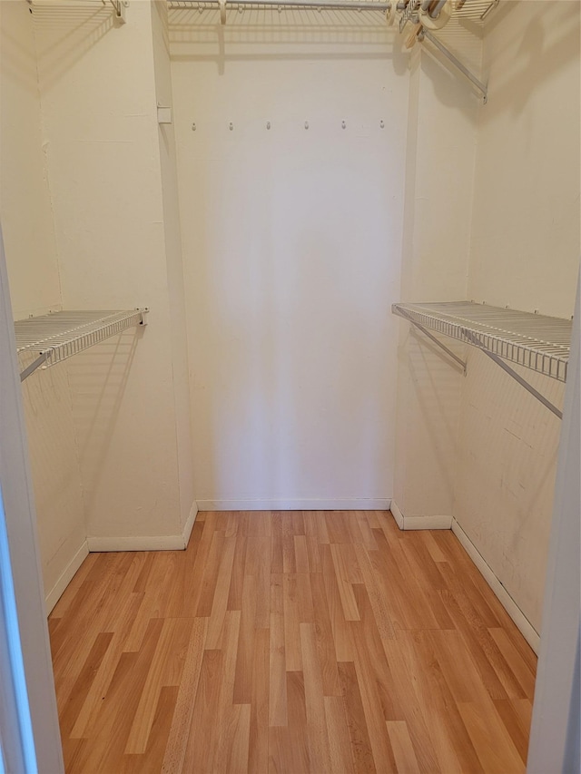 walk in closet with light hardwood / wood-style floors and ceiling fan