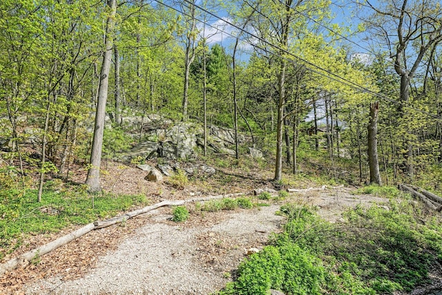 73 Blueberry Hl, Greenwood Lake NY, 10925 land for sale