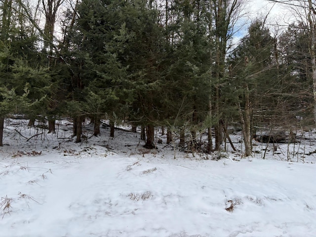 Listing photo 3 for Anderson Rd, Parksville NY 12768