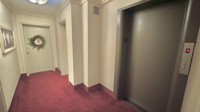 hall featuring carpet, elevator, and crown molding