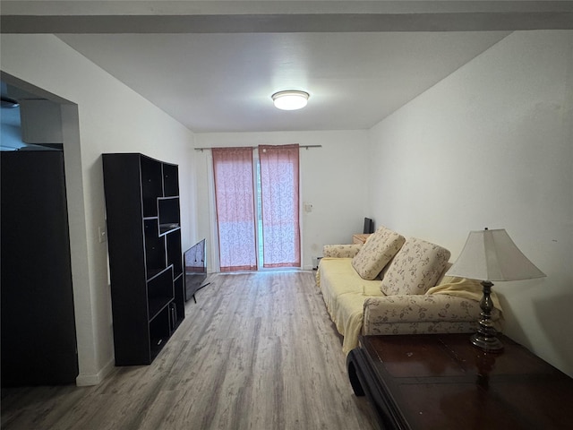 living room featuring wood-type flooring