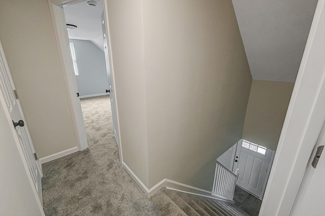 staircase featuring carpet floors and vaulted ceiling