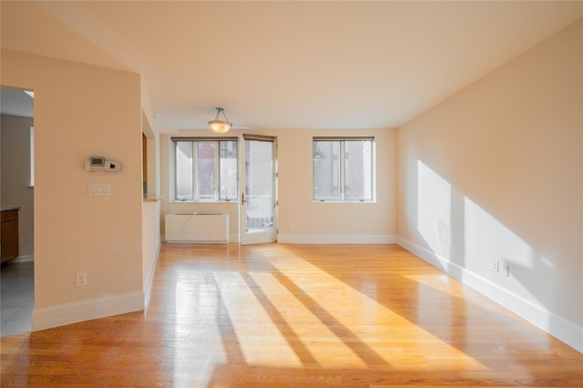 unfurnished room featuring a wealth of natural light and light hardwood / wood-style floors