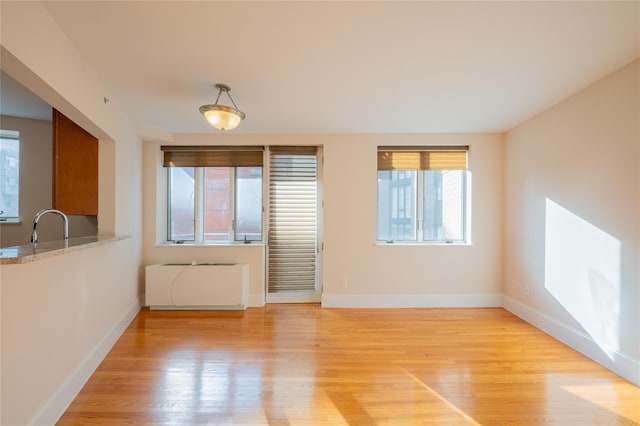 interior space featuring light hardwood / wood-style flooring and sink