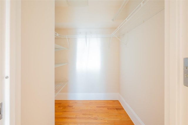 spacious closet with wood-type flooring