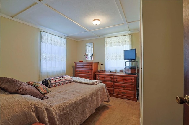 bedroom with carpet flooring