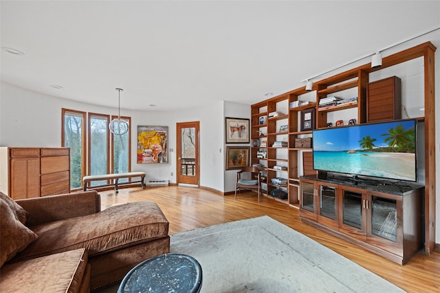 living room featuring wood-type flooring