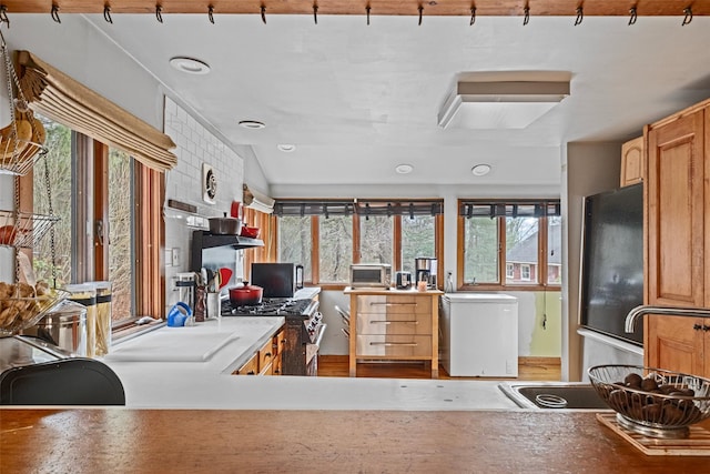 kitchen with a healthy amount of sunlight, fridge, and high end range