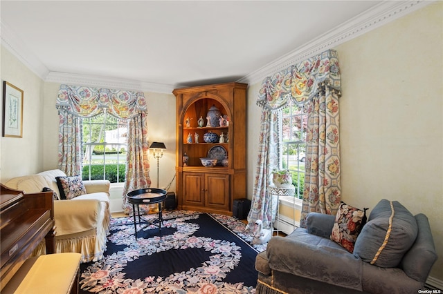 living room featuring ornamental molding