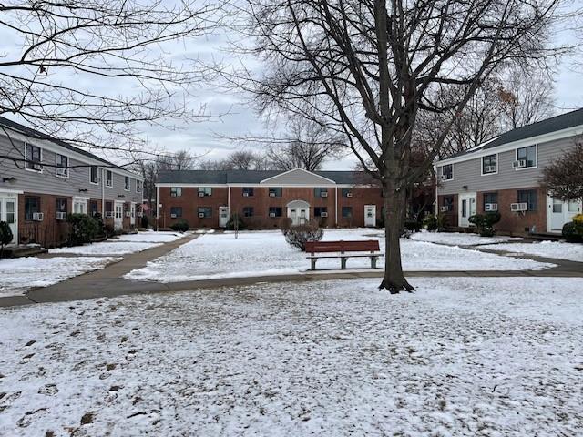 view of yard covered in snow