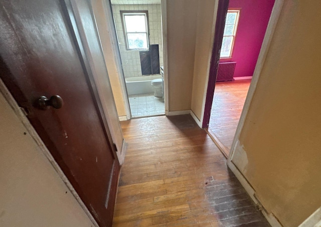 corridor featuring radiator, dark hardwood / wood-style floors, and a wealth of natural light