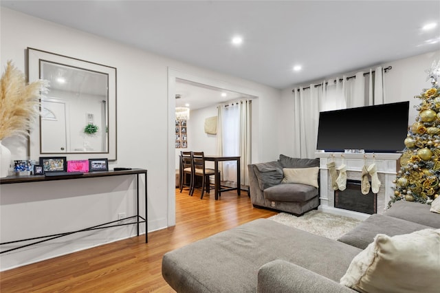 living room with a fireplace and light hardwood / wood-style flooring