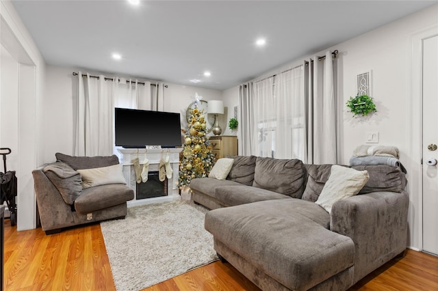 living room with hardwood / wood-style flooring and a fireplace