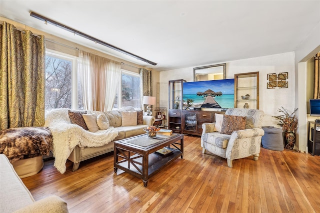 living room featuring wood-type flooring