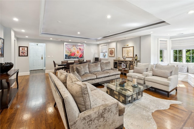 living room with a tray ceiling and hardwood / wood-style floors