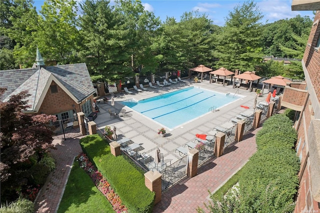 view of pool with a patio