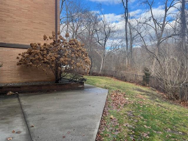 view of yard with a patio