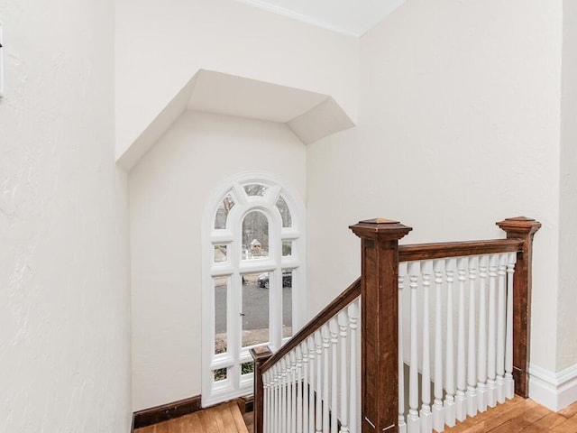 staircase with wood-type flooring