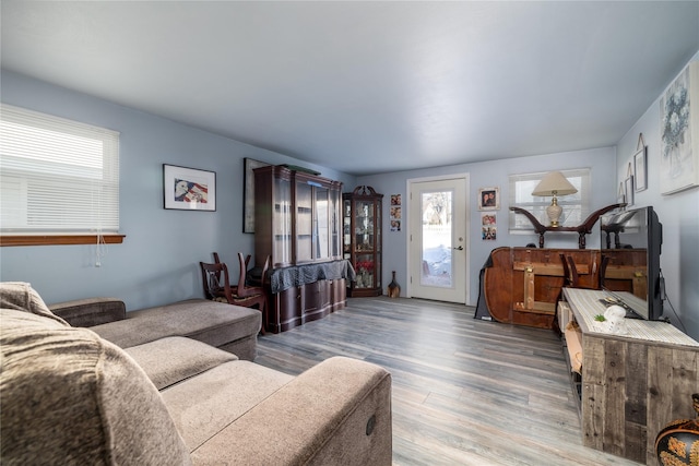 living room featuring hardwood / wood-style flooring