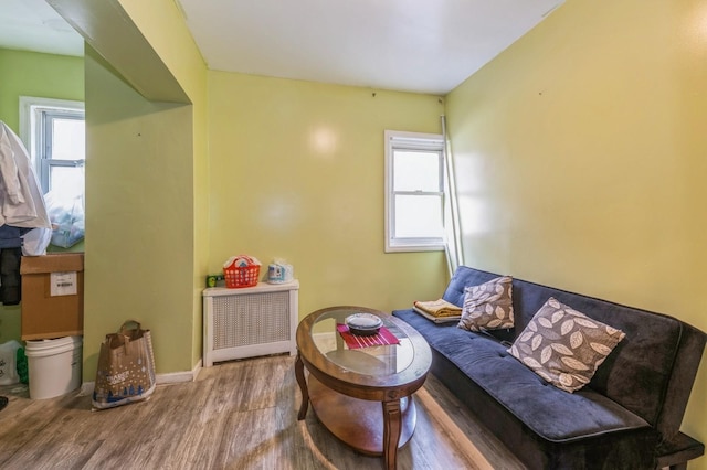 sitting room with hardwood / wood-style flooring and a wealth of natural light