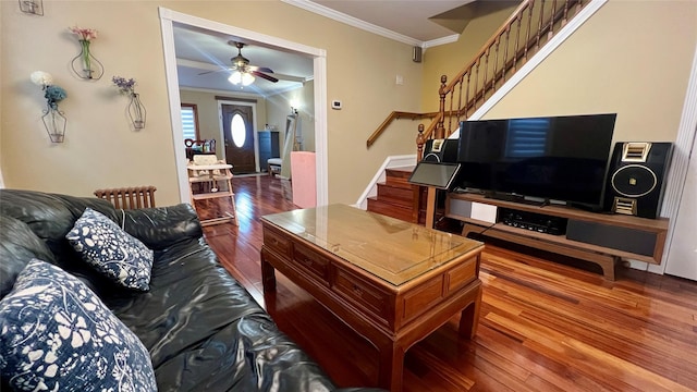 living room featuring ceiling fan, wood-type flooring, and ornamental molding