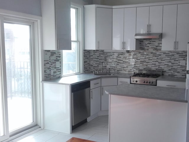 kitchen with sink, white cabinetry, stainless steel dishwasher, and tasteful backsplash