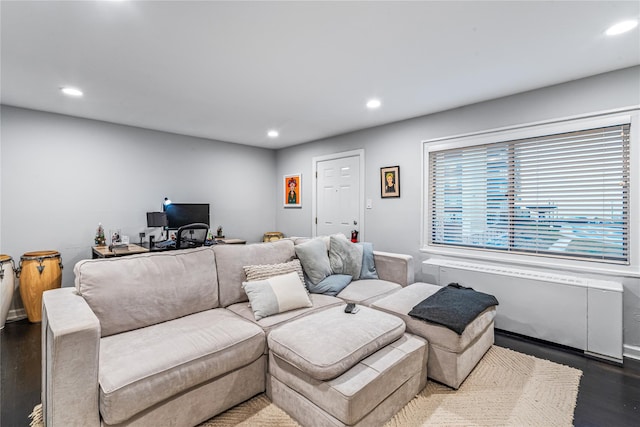 living room with dark hardwood / wood-style flooring