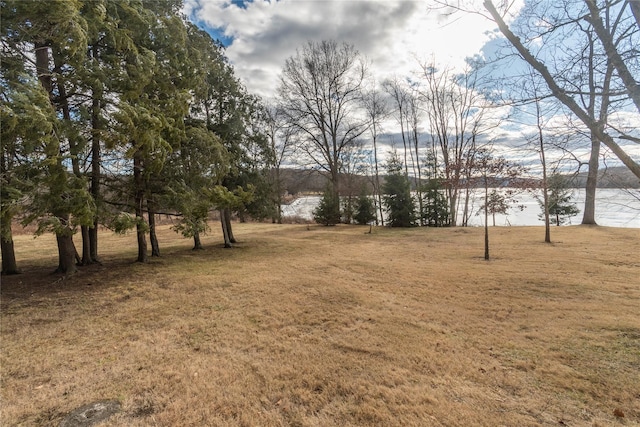 view of yard with a water view