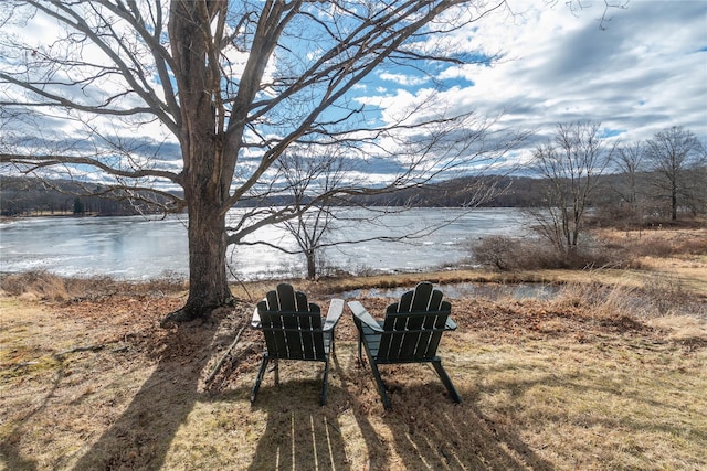 view of yard featuring a water view