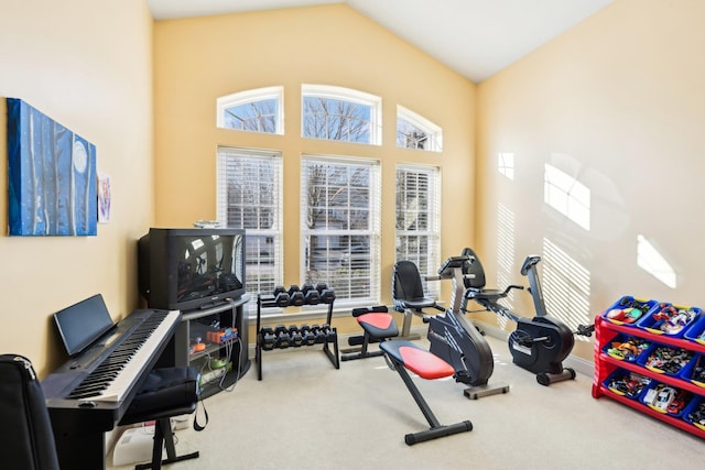 workout area with carpet flooring