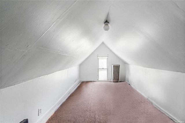 additional living space with carpet floors and vaulted ceiling