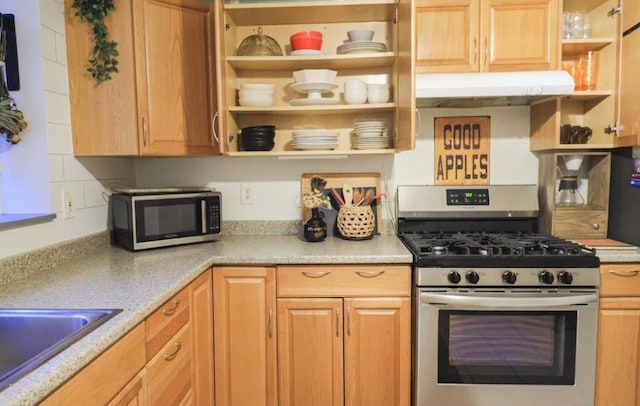 kitchen featuring stainless steel appliances and sink