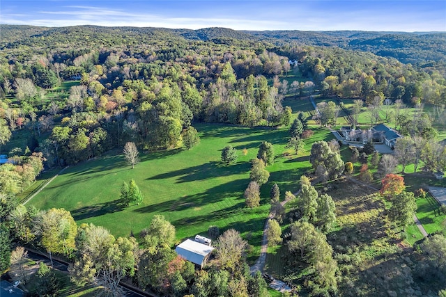 bird's eye view